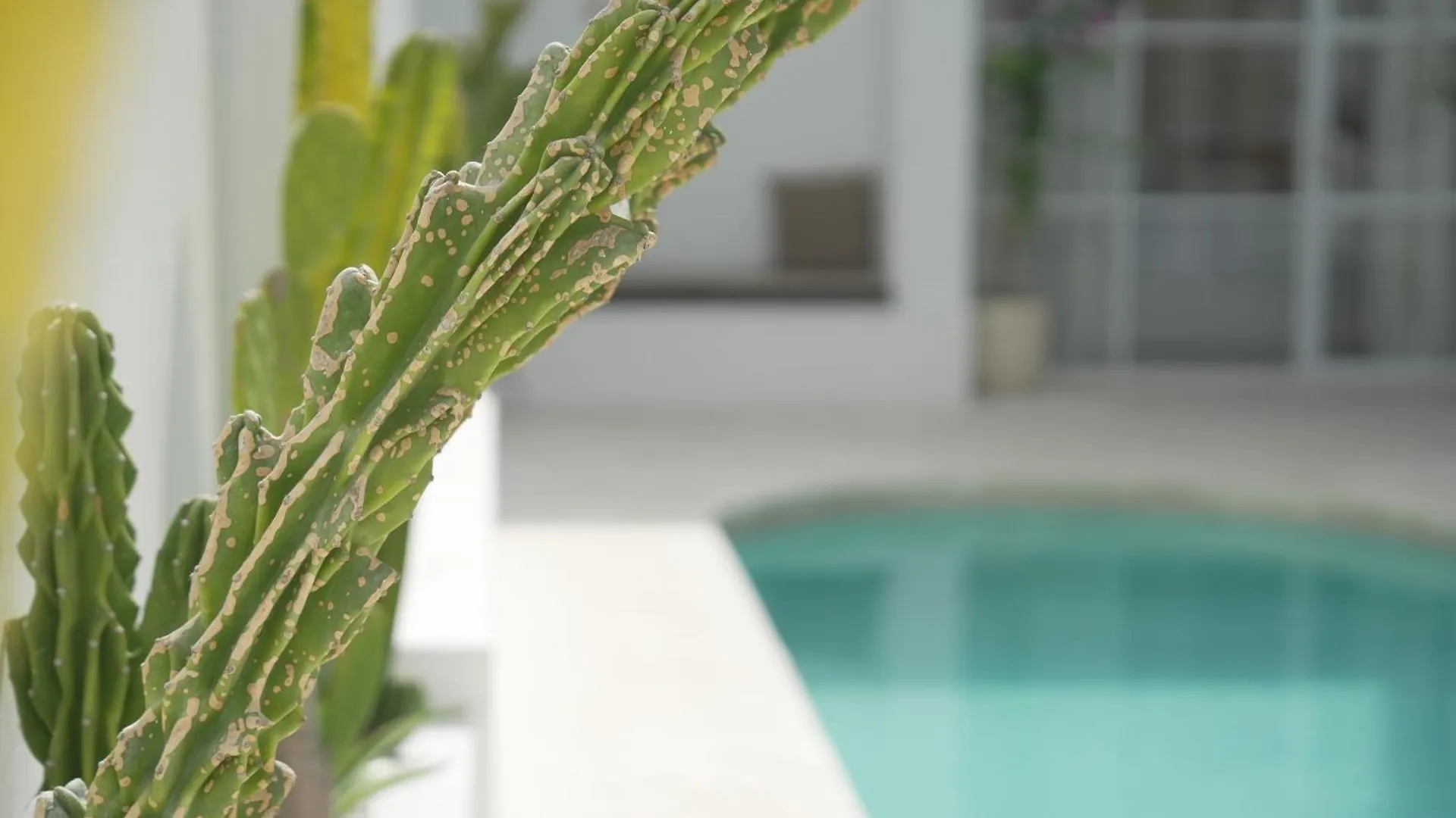 Close To Jimbaran Beach, 3Br With Private Pool Villa Jimbaran (Bali)
